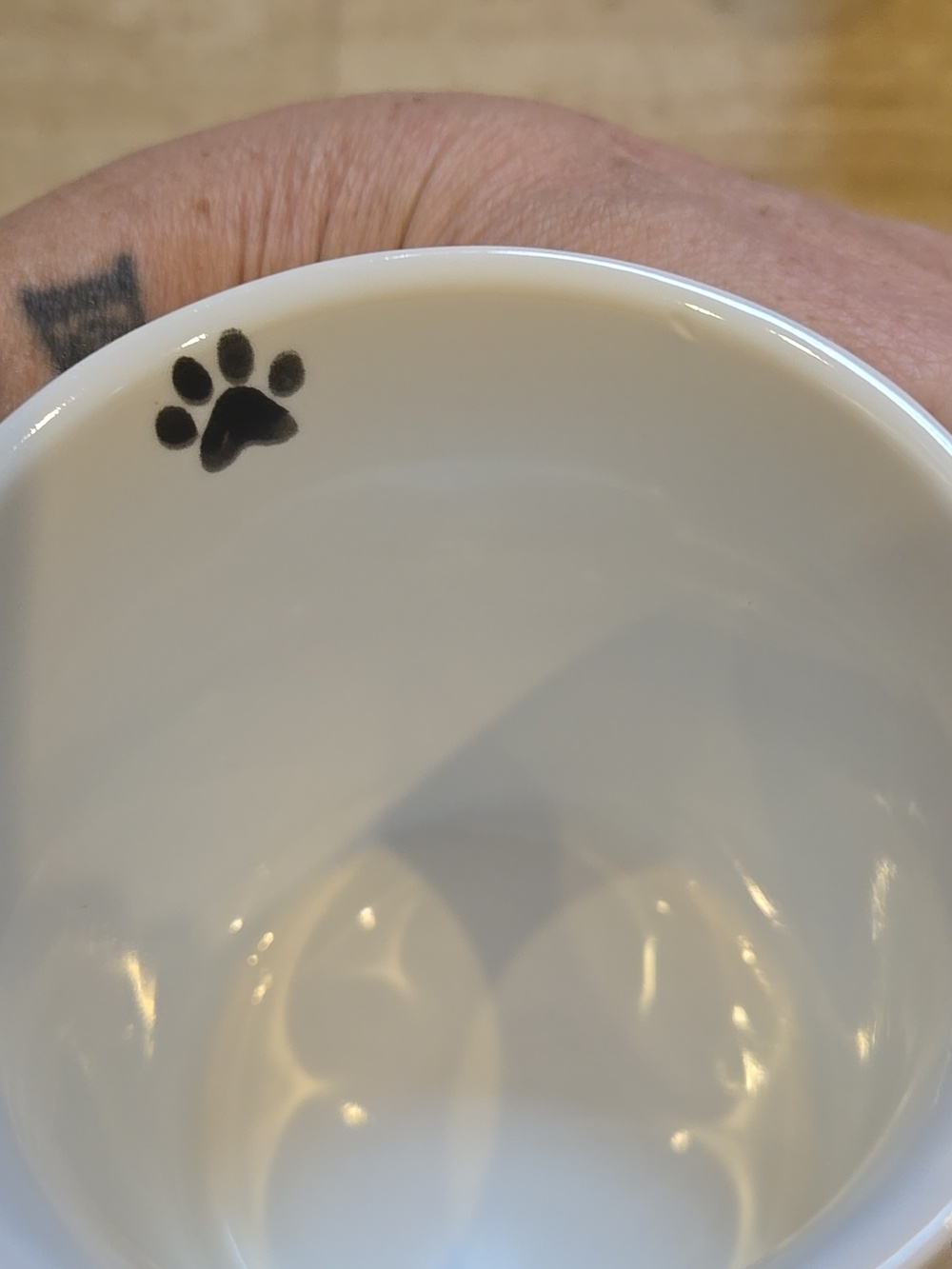 Fringe Studio Set of Two "Dogs Are People Too" Ceramic Mugs - Picture 3 of 6